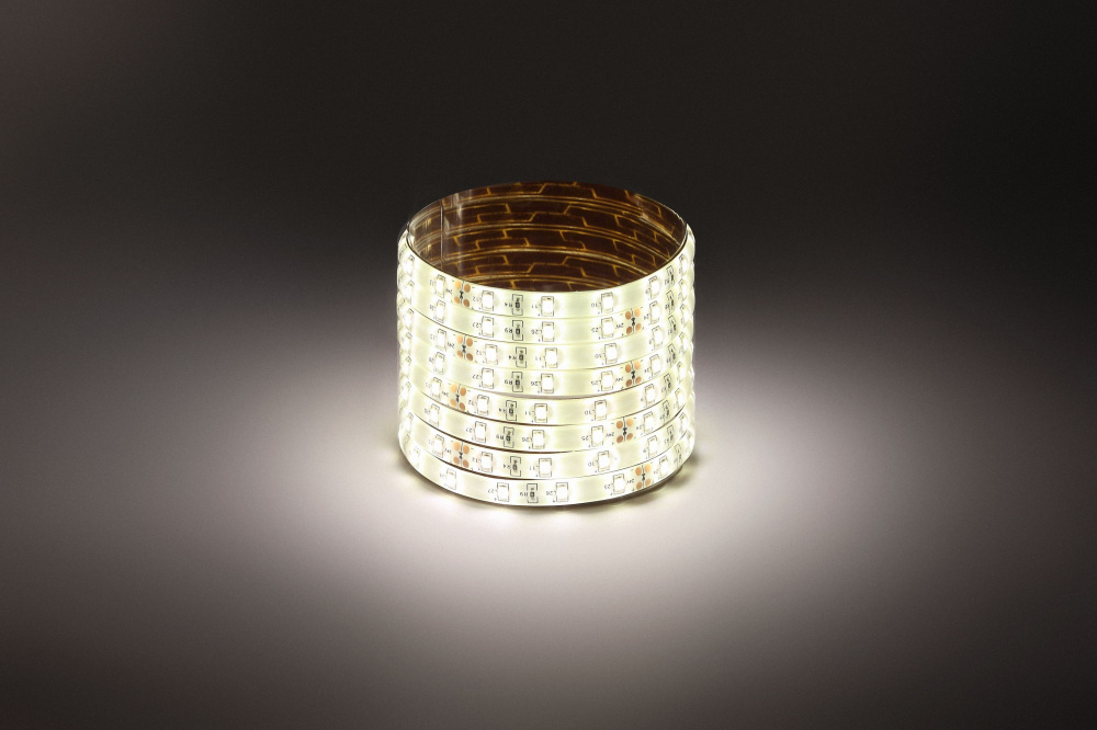 Светодиодная лента  LS2835-4,8-60-24-65-4000К-5m 