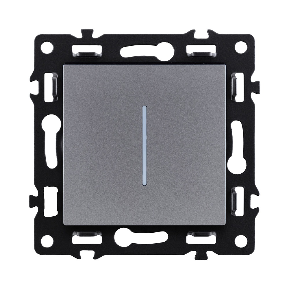 Выключатель Asthetik AS-012GY 