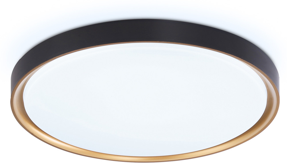 Потолочный светильник ORBITAL FZ1249 