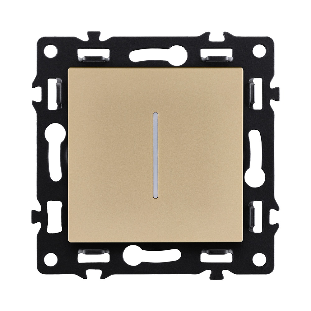 Выключатель Asthetik AS-012GD 