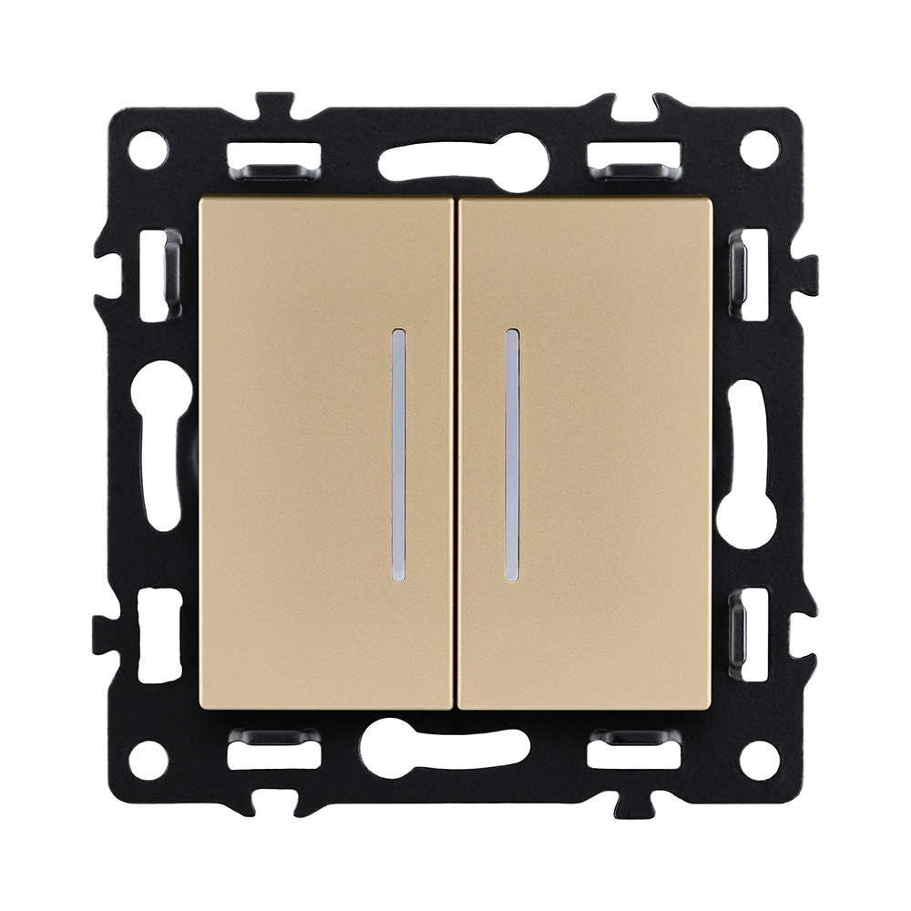 Выключатель Asthetik AS-011GD 