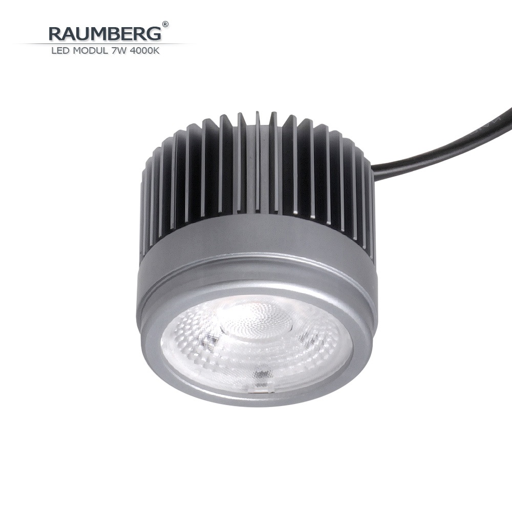 Светодиодный модуль  Raumberg7W4000K 