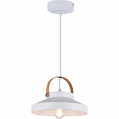 Подвесной светильник Wendi TL1225H-01WH 