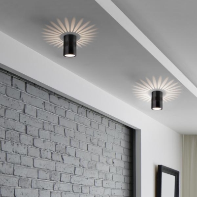 Точечный светильник  DLS026