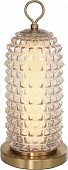 Интерьерная настольная лампа Saguaro SL6144.304.01 