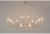 Подвесная люстра Evlalia APL.338.03.12