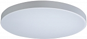 Потолочный светильник Axel 10002/48 White 