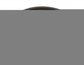 Точечный светильник Techno Spot TN102756 