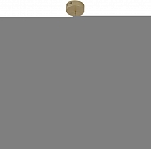 Потолочная люстра Hanger 4177-1P 