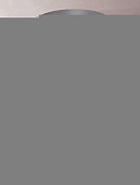 Потолочный светильник  F0724-39 