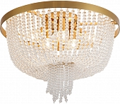 Потолочная люстра Ornament FR1008CL-06BS 