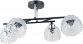 Потолочная люстра Торес 110012304 