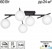 Потолочная люстра Dorsy CL223152 