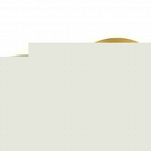 Потолочная люстра Norbert 5255/64CL 