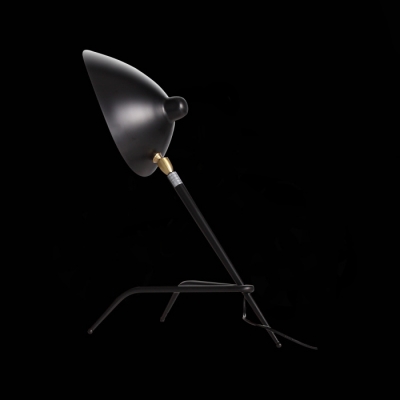 Интерьерная настольная лампа Spruzzo SL305.404.01