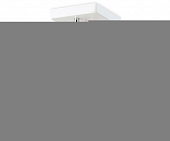 Потолочная люстра TRADITIONAL TR303111 