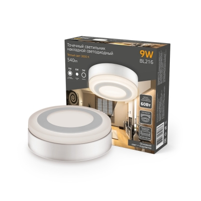 Настенно-потолочный светильник  BL216