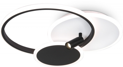 Настенно-потолочный светильник COMFORT FL5118