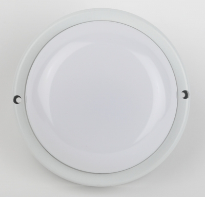 Настенно-потолочный светильник  SPB-201-0-65K-015