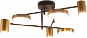 Потолочная люстра Рапис 07645-6D,19(20) 