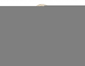 Настенный светильник Crystal LH31118 