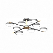 Потолочная люстра LED4U L3209-860 GR 