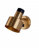 Спот Goldy V11313-1W 