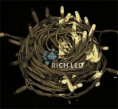 Гирлянда  RL-S10C-220V-C2Bz/WW 