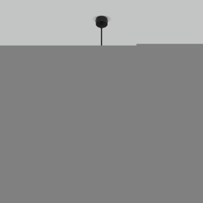 Подвесной светильник Viero 50097/1 черный/золото