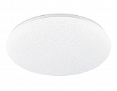 Потолочный светильник Orbital FZ1751 