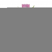 Грунтовый светильник  USL-C-451/PT305 PINK TULIP 