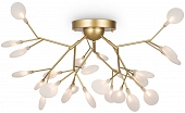 Потолочная люстра Florencia FR5049CL-27G 