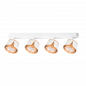 Спот Amaks A8028PL-4WH 