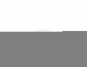 Настенный светильник Comfort FL6121 