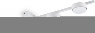 Потолочная люстра Tactic FR5363CL-03W