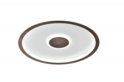 Потолочный светильник Orbit FR5421CL-L80BR