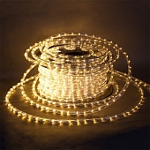 Дюралайт  13-2W-100M-24V-LED-U WW 