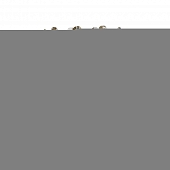 Бра MODELUX ML.837.02 GD 