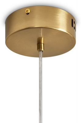 Подвесная люстра Amela FR6138PL-L21BS