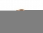 Потолочная люстра Acrylica FA416 