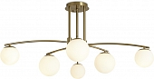 Потолочная люстра Hanger FR5443CL-06BS 