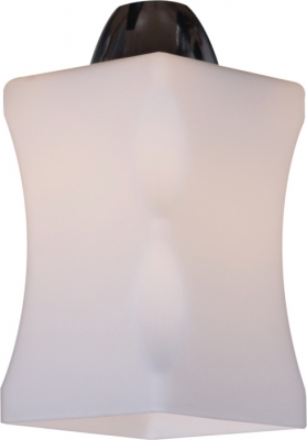 Потолочная люстра  06595-0.3-06