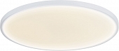 Потолочный светильник Disco DL20171R18NW1W 