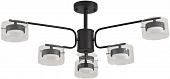 Потолочная люстра Natalina 8349/6C 