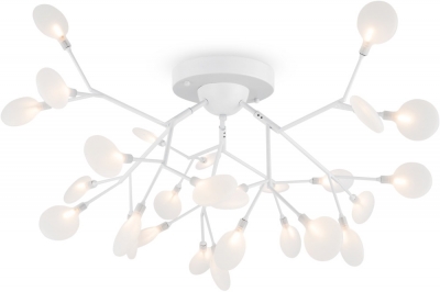 Потолочная люстра Florencia FR5049CL-27W2