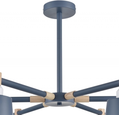 Потолочная люстра Rosalina 8098/6C