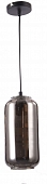 Подвесной светильник Rise 10177/1S Black/Smoke 