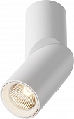 Точечный светильник Dafne C027CL-L10W 