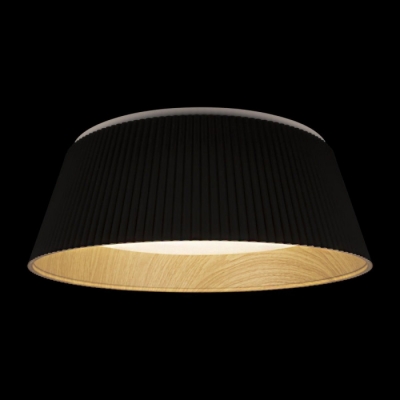 Потолочный светильник Evans 10224 Black