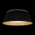 Потолочный светильник Evans 10224 Black